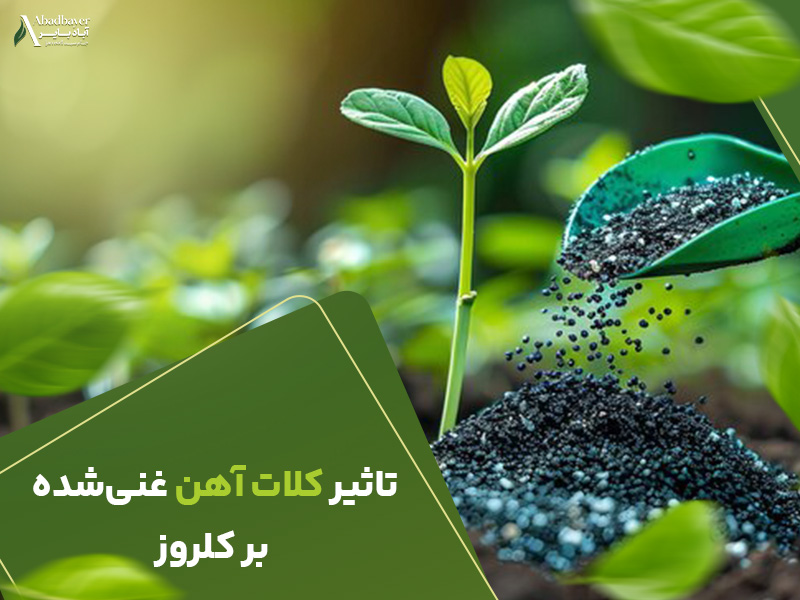 تاثیر کلات اهن غنی شده بر کلروز