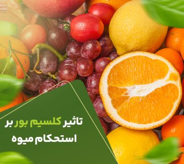 تاثیر کلسیم بور بر استحکام میوه