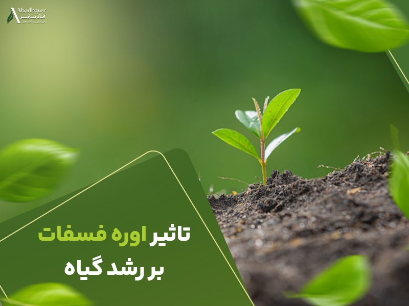 تاثیراوره فسفات بر رشدگیاه