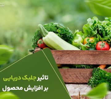 تاثیرجلبک دریایی بر افزایش محصول