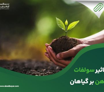 تاثیرسولفات اهن بر گیاهان