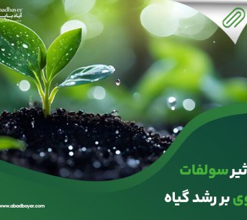 تاثیرسولفات روی بر رشد گیاه