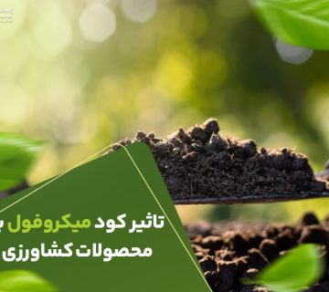 تاثیرکود میکروفول بر محصولات کشاورزی