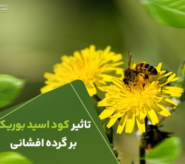 تاثیرکوداسیدبوریک برگرده افشانی