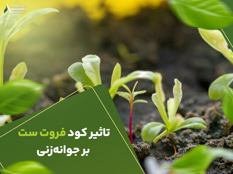 تاثیرکودفروت ست برجوانه زنی