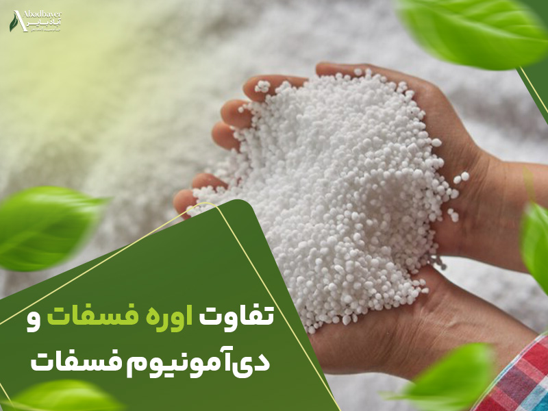 تفاوت اوره فسفات و دی امونیوم فسفات