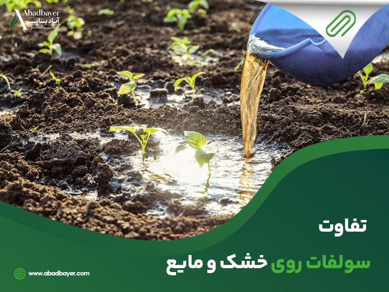 تفاوت سولفات روی خشک و مایع