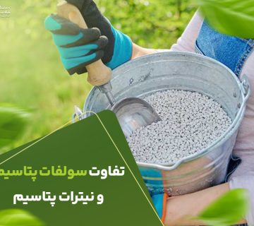 تفاوت سولفات پتاسیم و نیترات پتاسیم