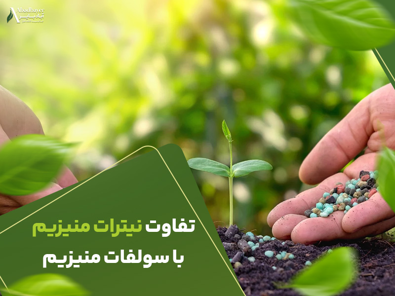 تفاوت نیترات منیزیم با سولفات منیزیم