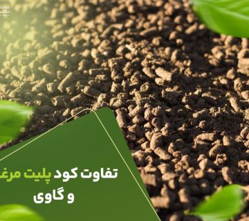 تفاوت کود پلیت مرغی و گاوی