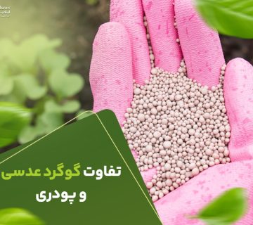تفاوت گوگرد عدسی و پودری
