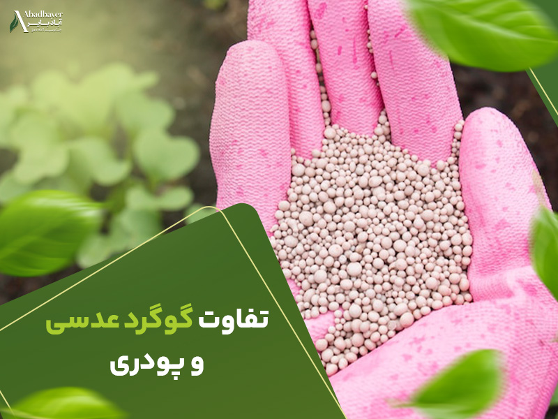 تفاوت گوگرد عدسی و پودری