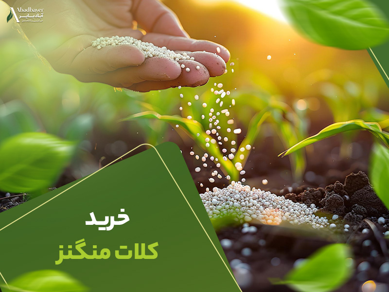 خرید کلات منگنز