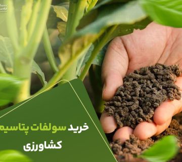 خرید سولفات پتاسیم کشاورزی