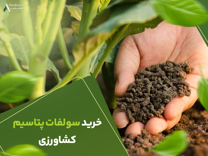 خرید سولفات پتاسیم کشاورزی