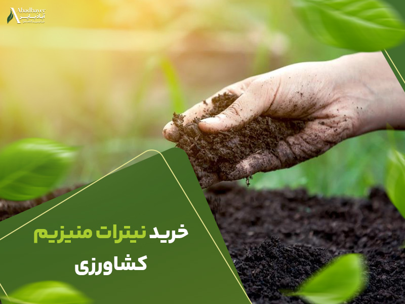 خرید نیترات منیزیم کشاورزی