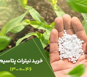خرید نیترات پتاسیم