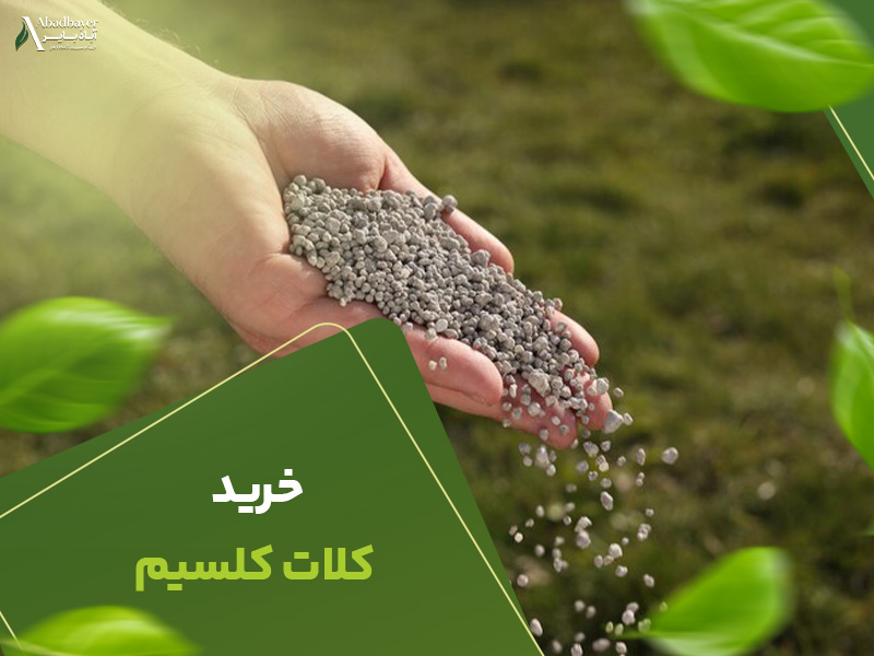 خرید کلات کلسیم