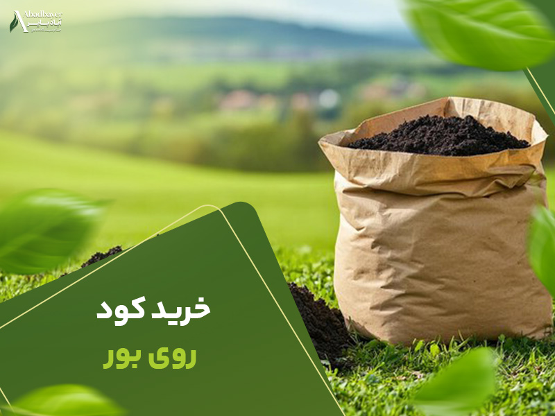 خرید کود روی و بور