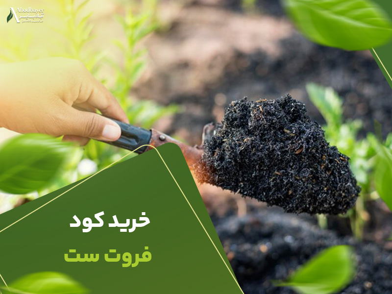 خرید کود فروت ست