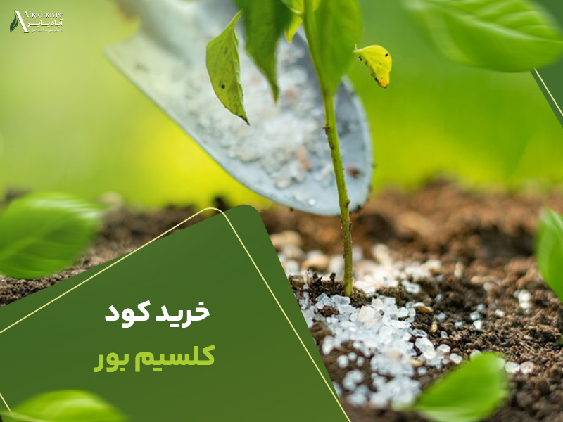خرید کود کلسیم بور