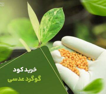خریدکود گوگردعدسی