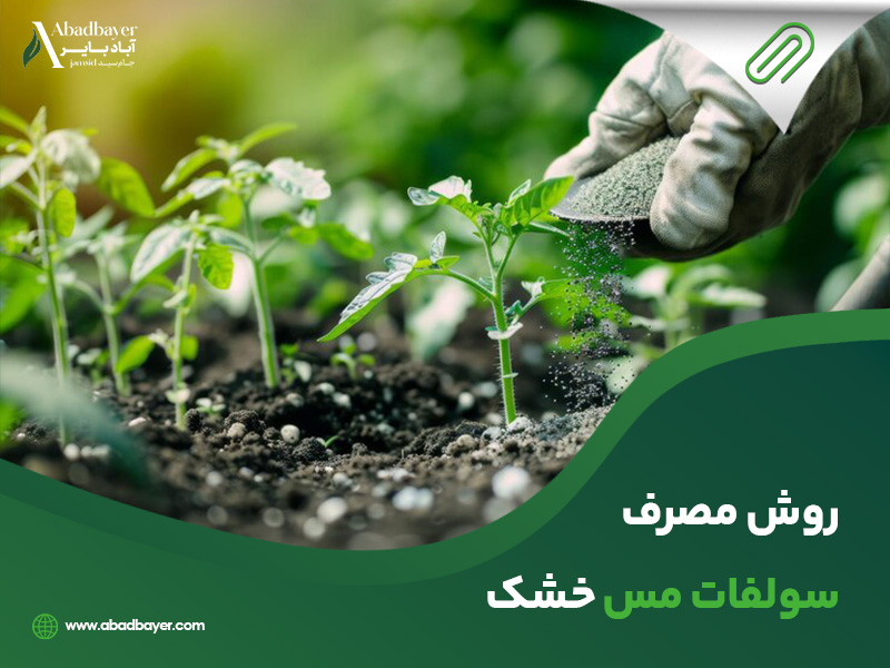 روش مصرف سولفات مس خشک