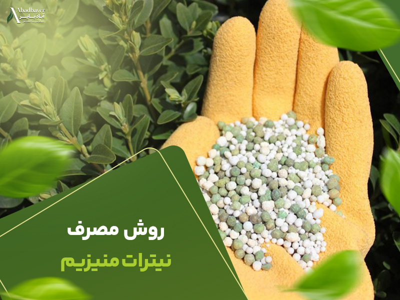 روش مصرف نیترات منیزیم