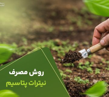 روش مصرف نیترات پتاسیم