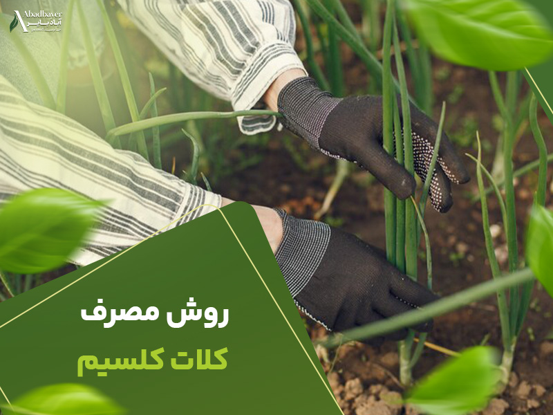 روش مصرف کلات کلسیم