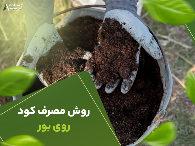 روش مصرف کود روی و بور