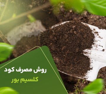 روش مصرف کود کلسیم بور