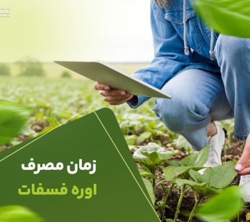 زمان مصرف اوره فسفات