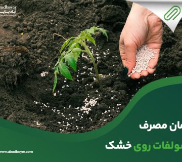 زمان مصرف سولفات روی خشک