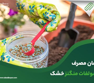 زمان مصرف سولفات منگنزخشک