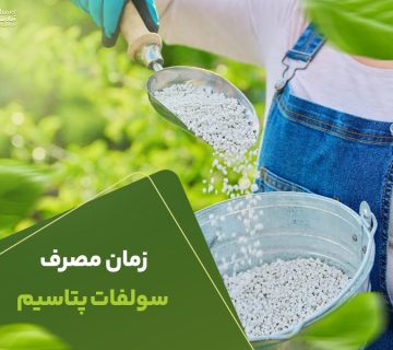 زمان مصرف سولفات پتاسیم