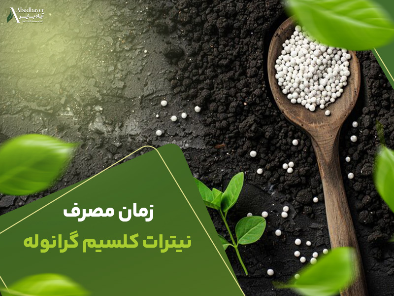 زمان مصرف نیترات کلسیم گرانوله