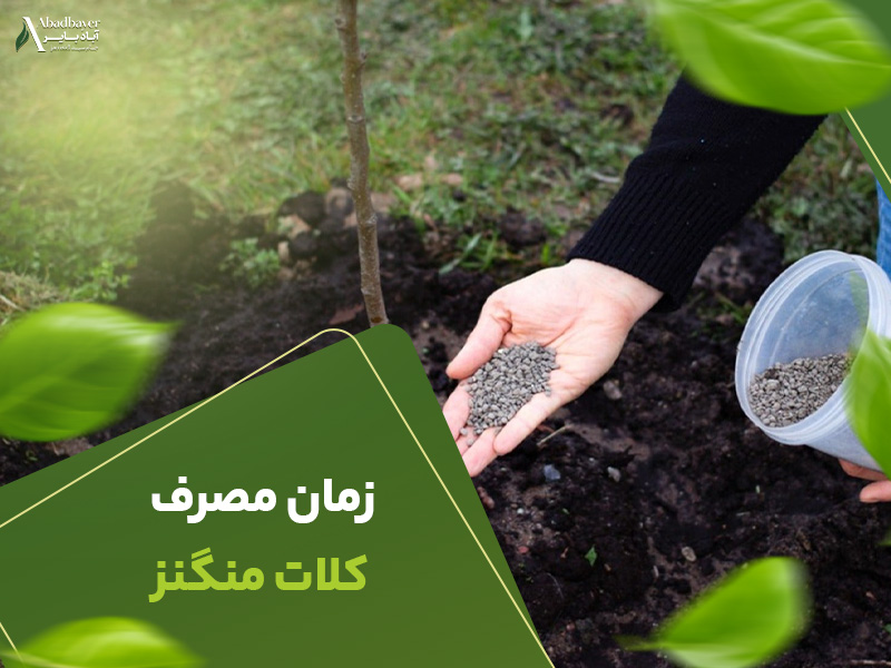 زمان مصرف کلات منگنز