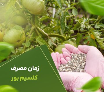 زمان مصرف کلسیم بور