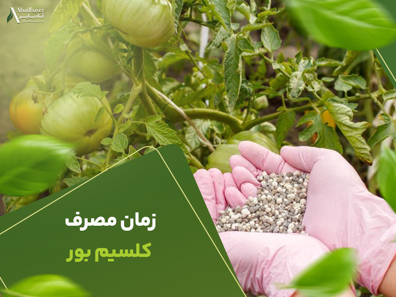 زمان مصرف کلسیم بور