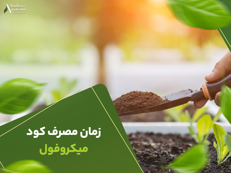 زمان مصرف کود میکروفول