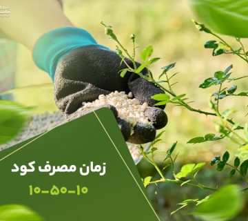 زمان مصرف کود105010
