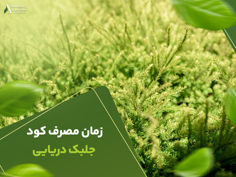 زمان مصرف کودجلبک دریایی
