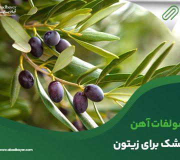 سولفات اهن خشک برای زیتون