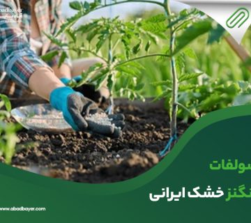 سولفات منگنز خشک ایرانی