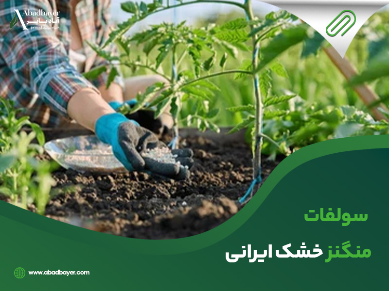 سولفات منگنز خشک ایرانی