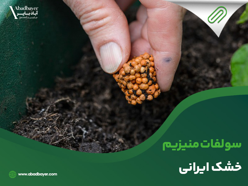 سولفات منیزیم خشک ایرانی