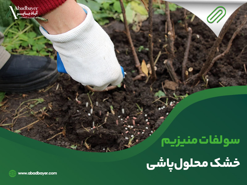 سولفات منیزیم خشک محلول پاشی