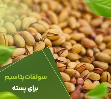 سولفات پتاسیم برای پسته