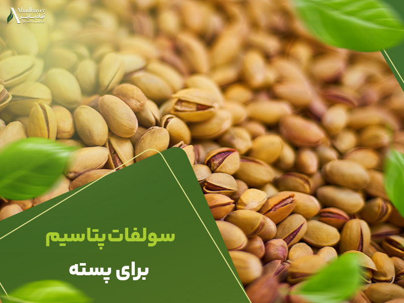 سولفات پتاسیم برای پسته